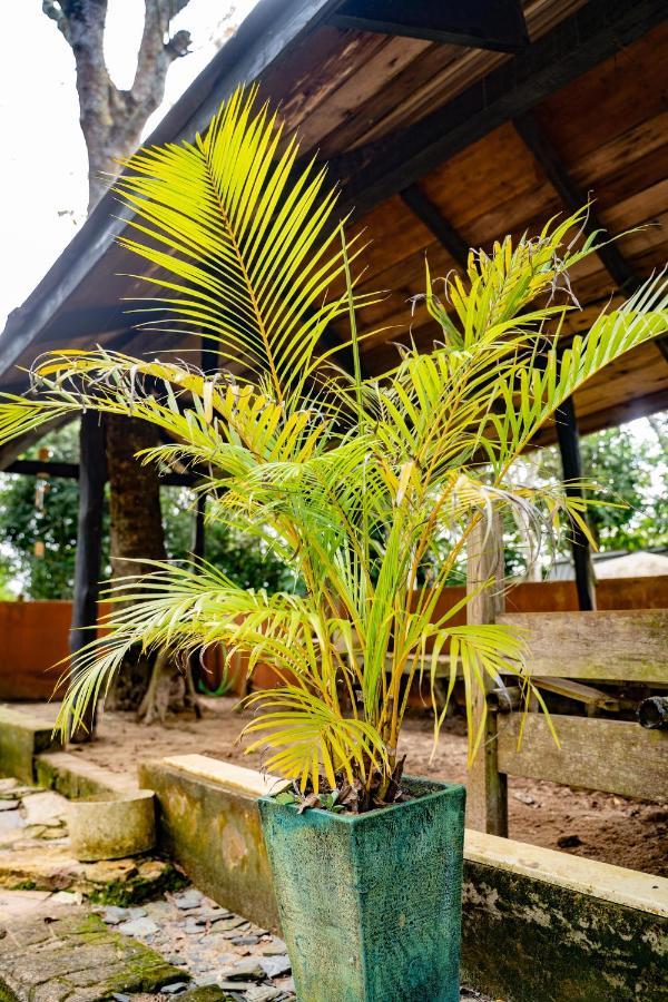 Nature'S Cradle Obosomase Экстерьер фото